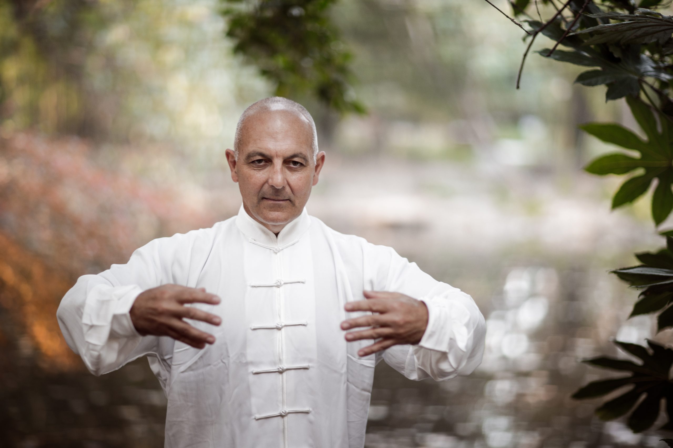 Qu’est-ce que le Yi dans le Yi Quan ? - Qigong en Ligne