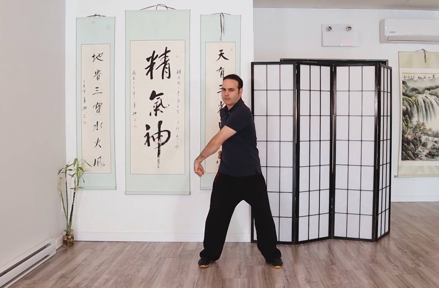 Tian Gan Nei Gong — pratique