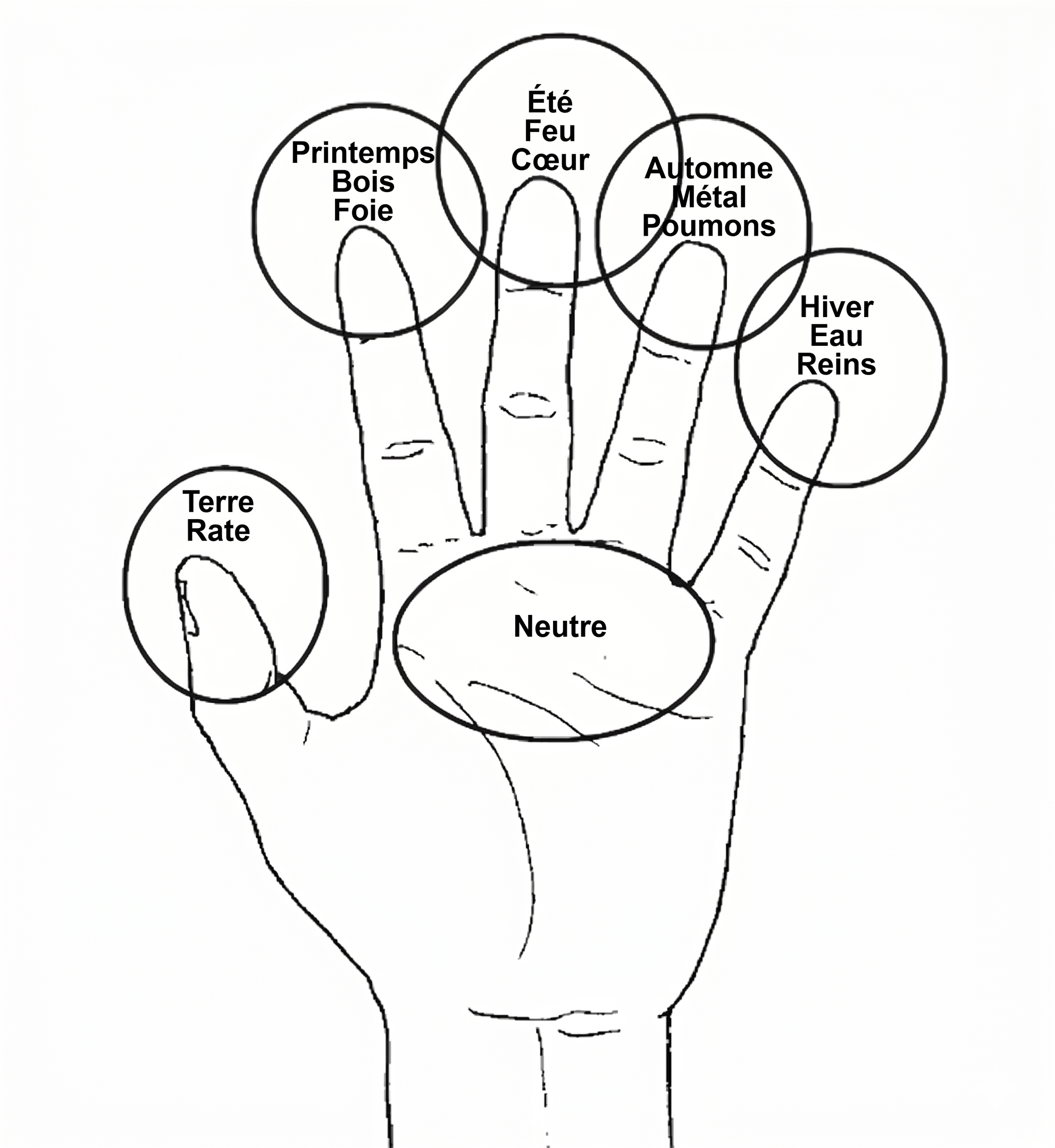 Cinq éléments dans les cinq doigts