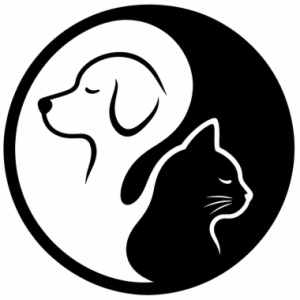 Photo de Profil de Valérie Deschênes