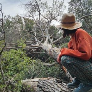 Photo de Profil de Marine Dehillotte